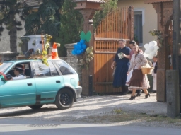 szuret16_7_20220219